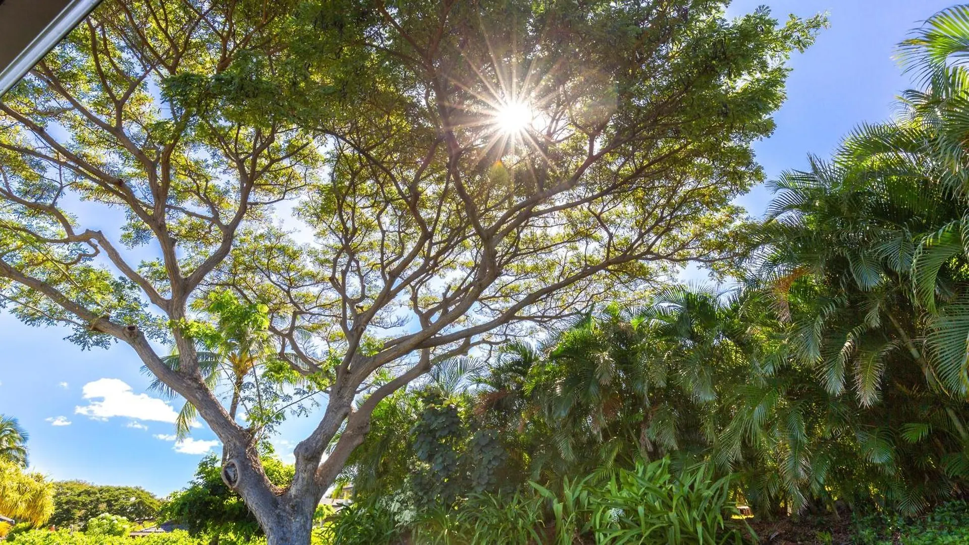 Hale Kanani Spacious 3Br Villages Home With Three Master Suites Waikoloa